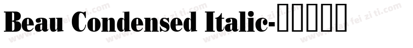 Beau Condensed Italic字体转换